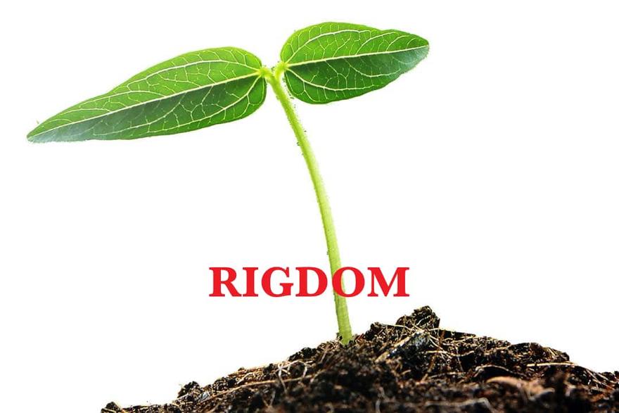 rigdomsrejsen_2020_1080x720