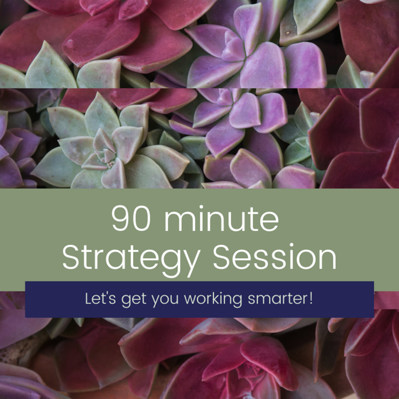 90 minute Strategy Session