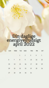 Yellow, Beige, White, Flowers April 2022 Calendar Phone Wallpaper