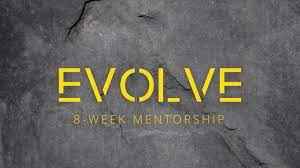 evolve mentorship