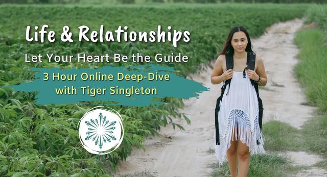 Life & Relationships video intro copy