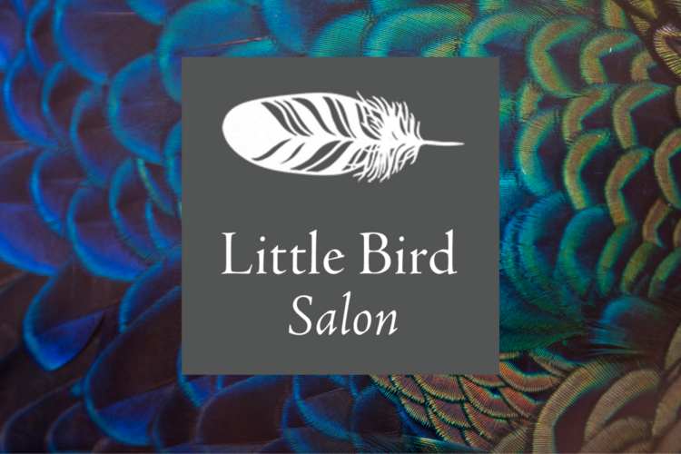 lb-salon-banner