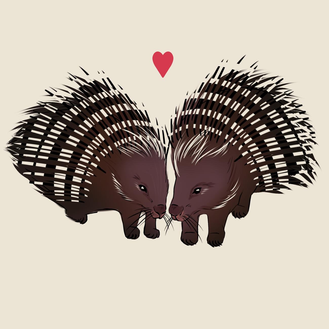 Hulepindsvin - Great relations