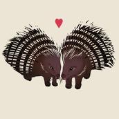 Hulepindsvin - Great relations