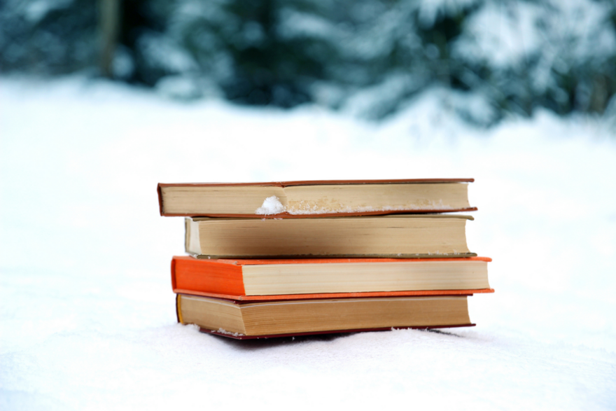 books in snow