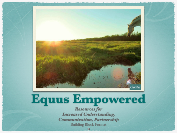 Equus Empowered Title Page