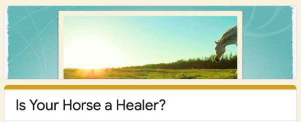 Healer Quiz