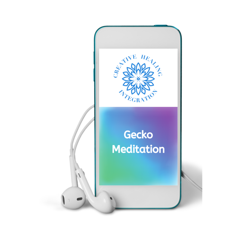 Gecko Meditation