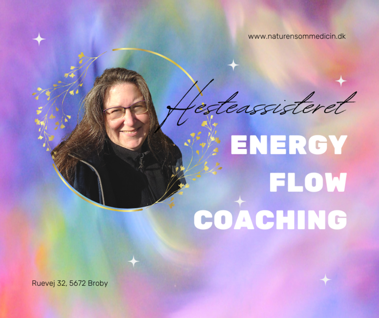 Hesteassisteret Energy Flow Coaching