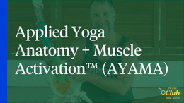 The Role Of A Yoga Teacher in Applied Yoga Anatomy and Muscle Activation