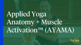 AYAMA and Yoga Therapy - Applied Yoga Anatomy and Muscle Activation