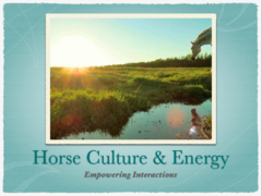 Horse Culture & Energy Title page