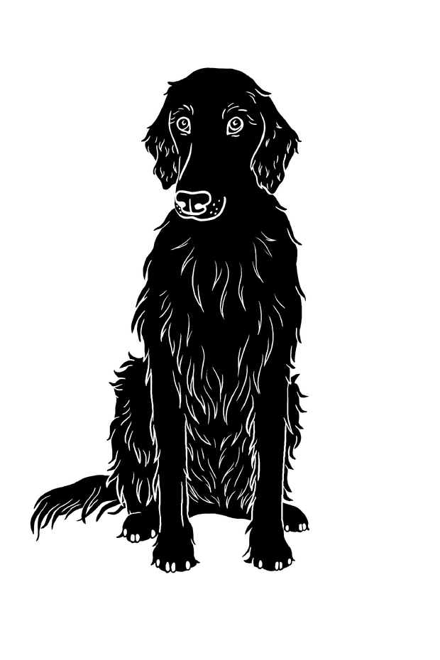 Hunden Izzy svart transparent