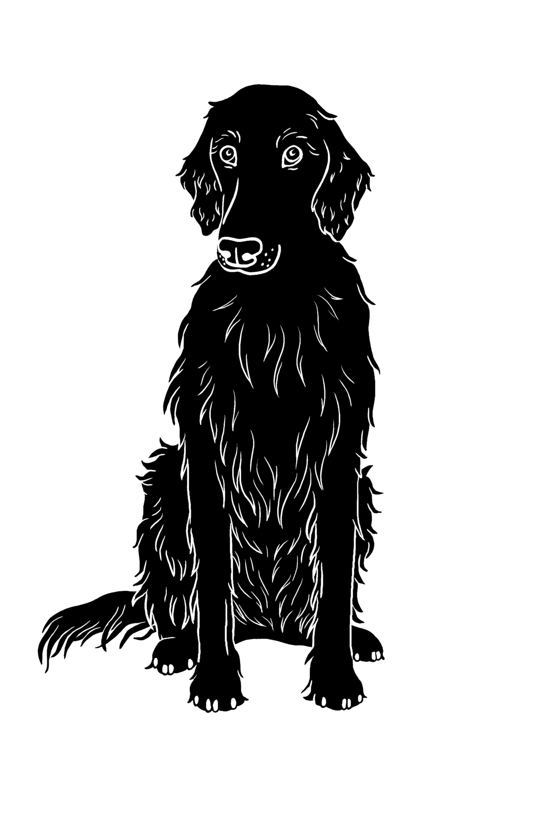 Hunden Izzy svart transparent