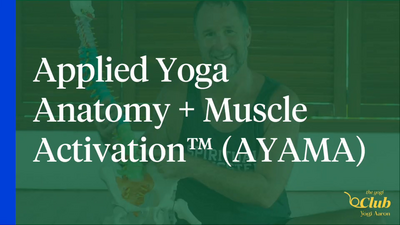 hip extensors - applied yoga anatomy and muscle activation