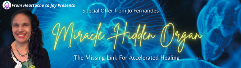 S22: Jo Fernandes (A) Miracle Hidden Organ