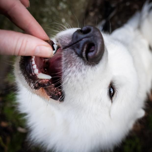 Træning3