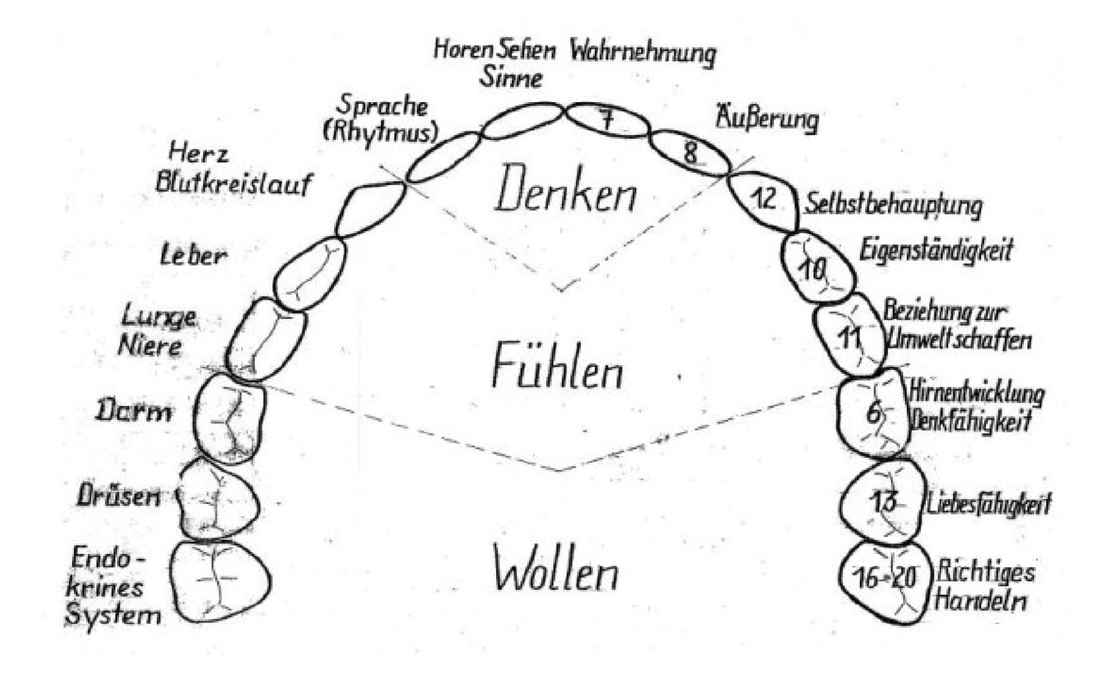 Denken-Fuehlen-Wollen-im-Gebiss-Claus-Haupt