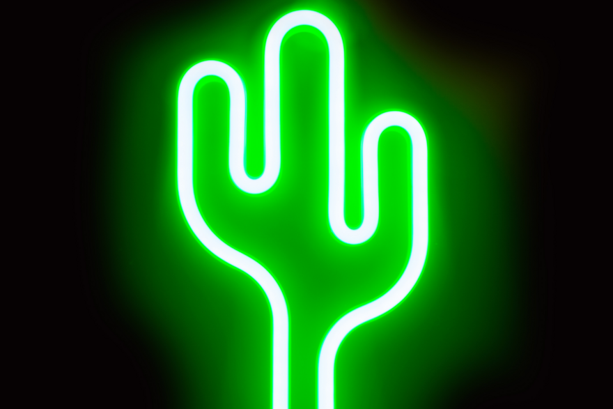 neon cactus
