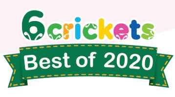 2020 6crickets award badge