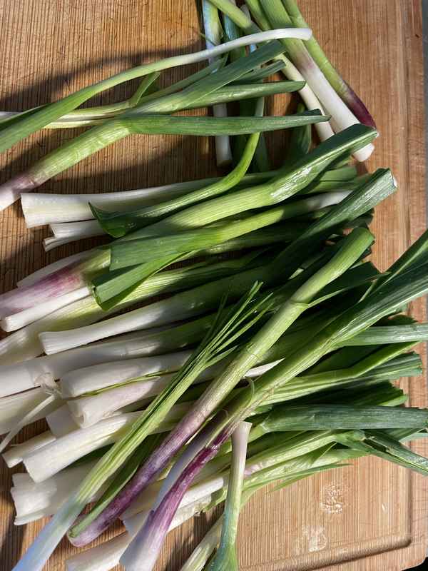 spring garlic cleaned