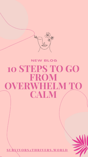 10 steps to go from overwhelm to calm Calm Blog Instagram Story