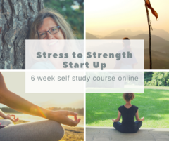 Stress to Strength Start Up