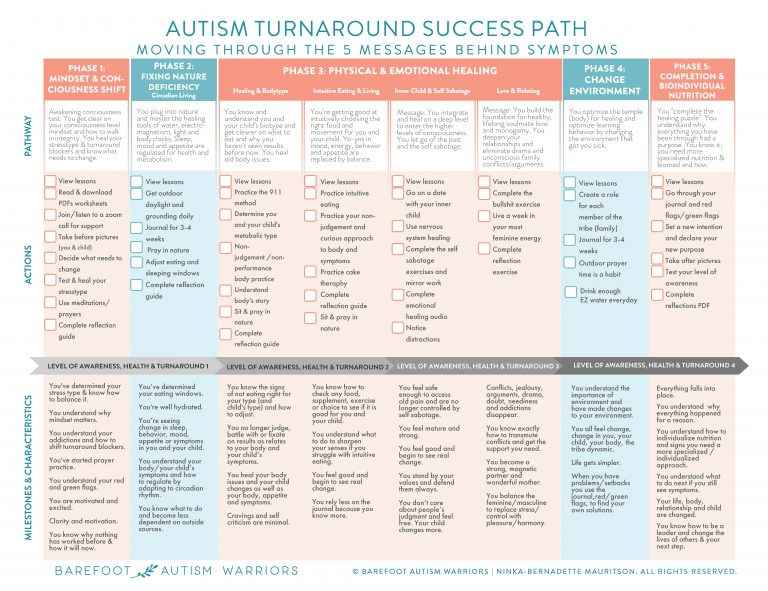 BAW-Autism-Turnaround-Success-Path-min-1-768x591