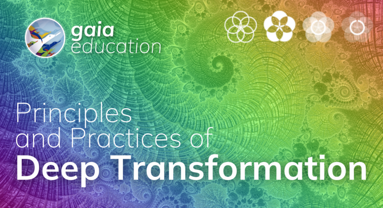 Principles and Practices of Deep Transformation