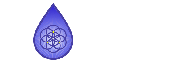 Life Beyond Form Logo LBF_Long_Drop-W_600