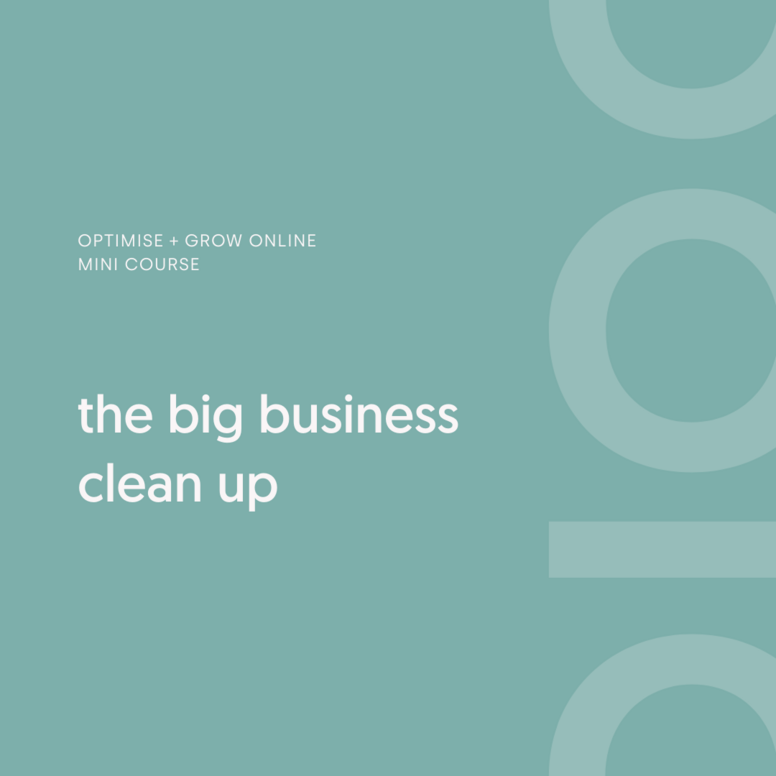 The Big Business Clean Up