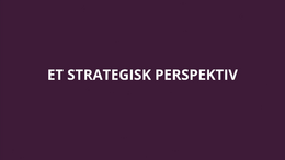 Strategisk Perspektiv