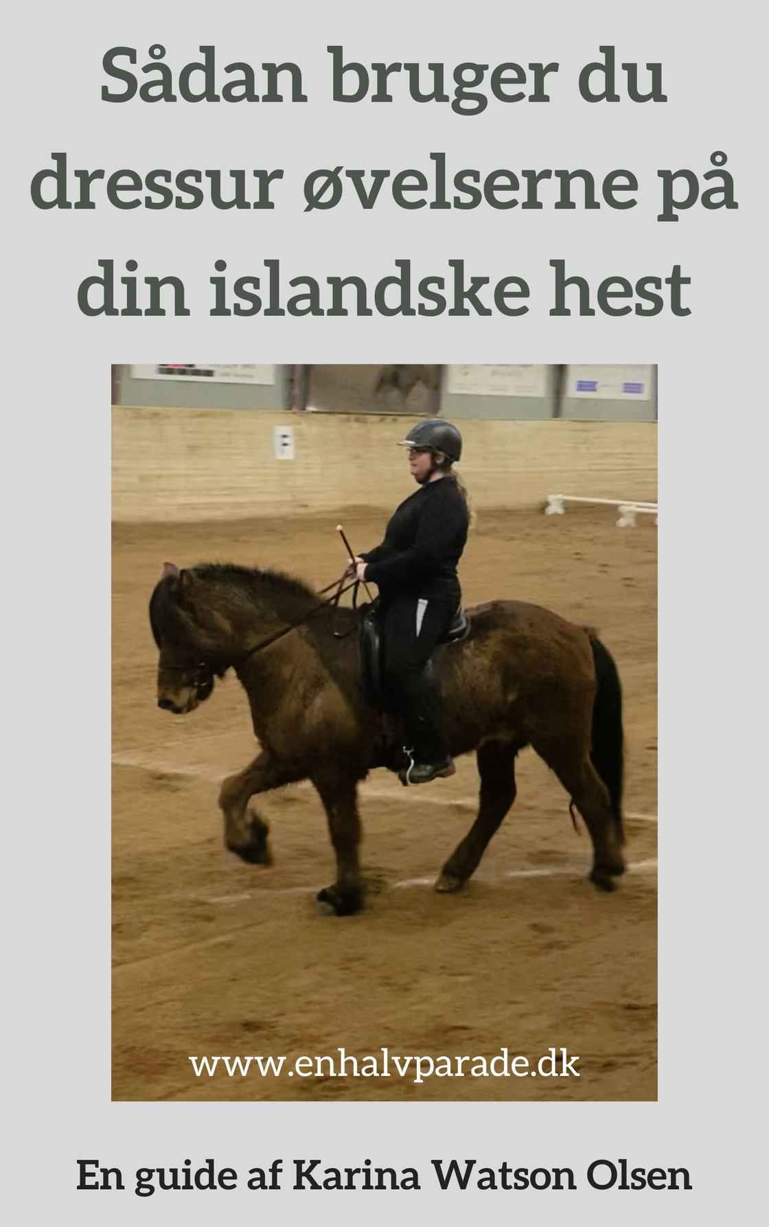 Book Cover Sådan bruger du dressurøvelserne på din islandske hest  FREEBIE Islandske Heste  2022