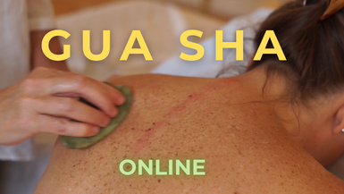 gua sha training