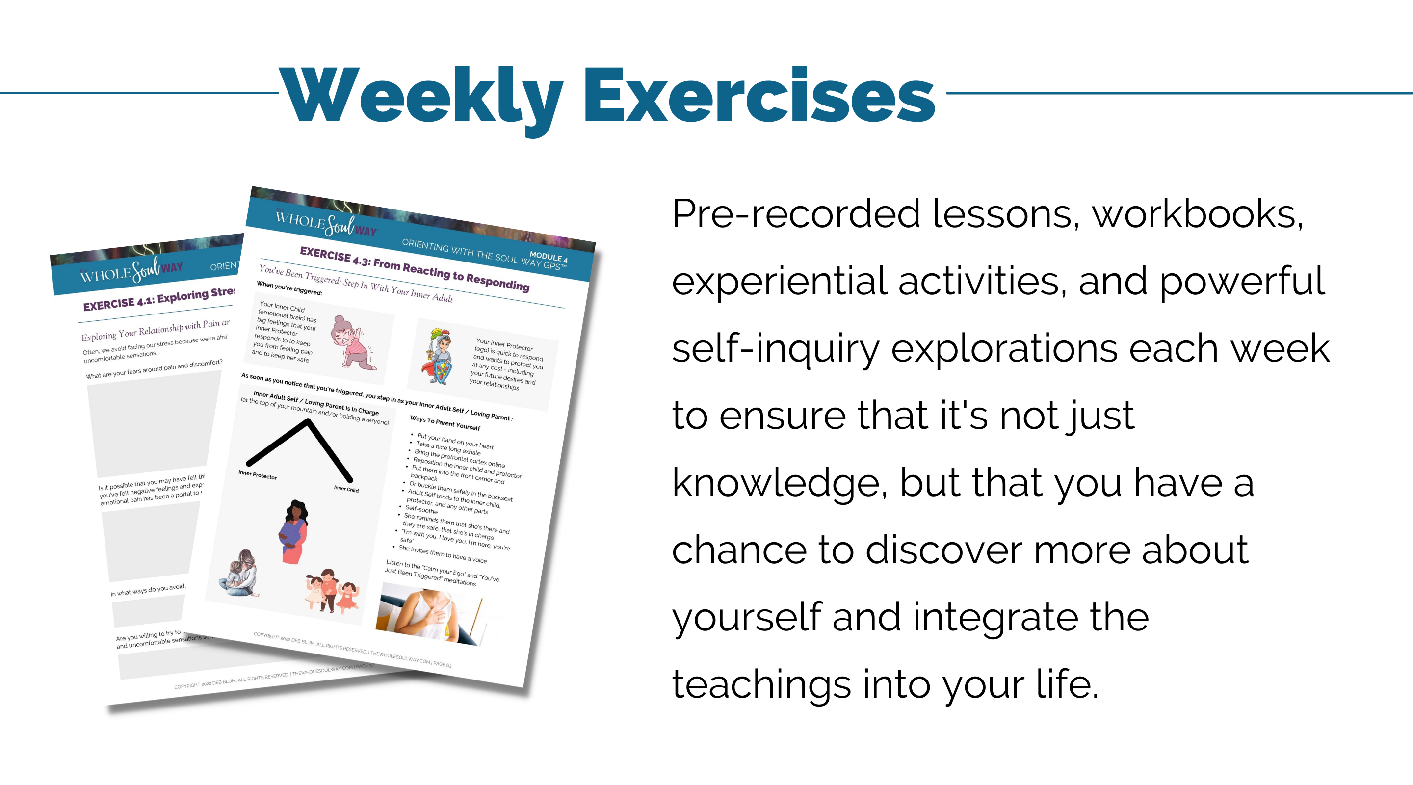 TWSW Sales Page Weekly Exercises
