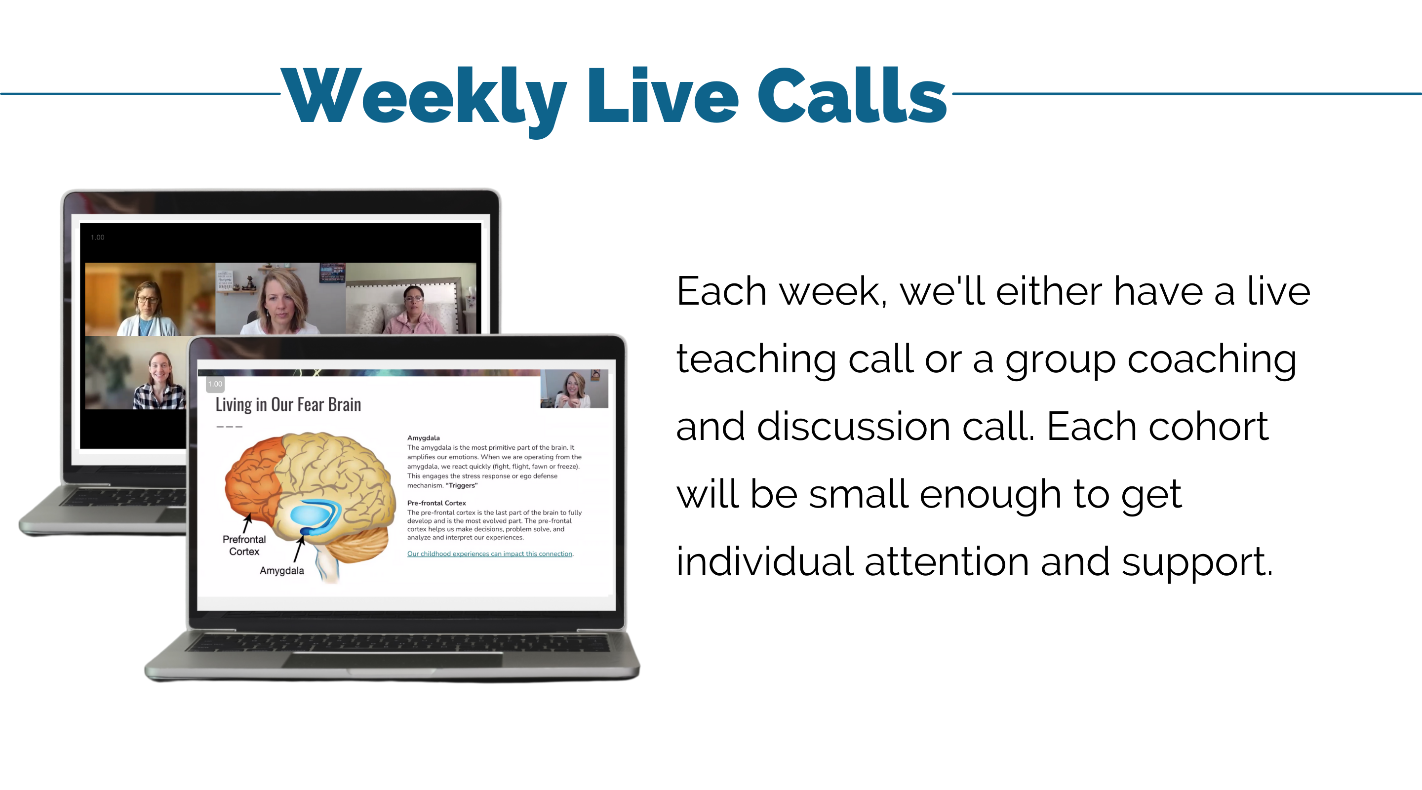 TWSW Sales Page Weekly Live Calls