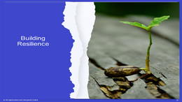 MPP Lesson thumbnail 8. Building Resilience