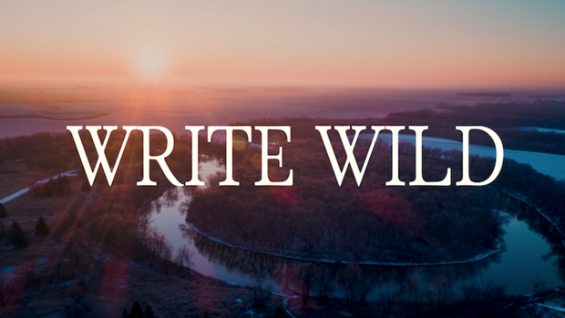Write Wild 800 x 450