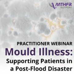 Mould Illness - Supporting Patients in a Post-Flood Disaster