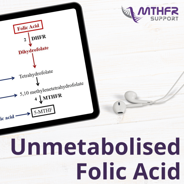 Practitioner Webinar Replay - Unmetabolised Folic Acid
