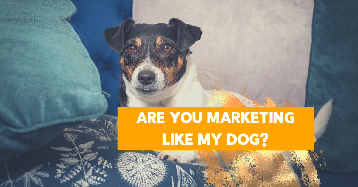 Are You Marketing Like My Dog?