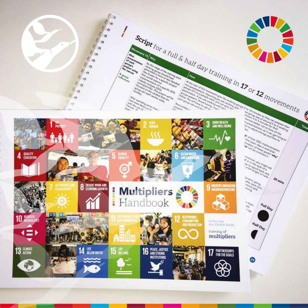 SDG ToM Handbook