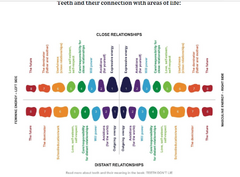 Teeth and their connection with areas of life