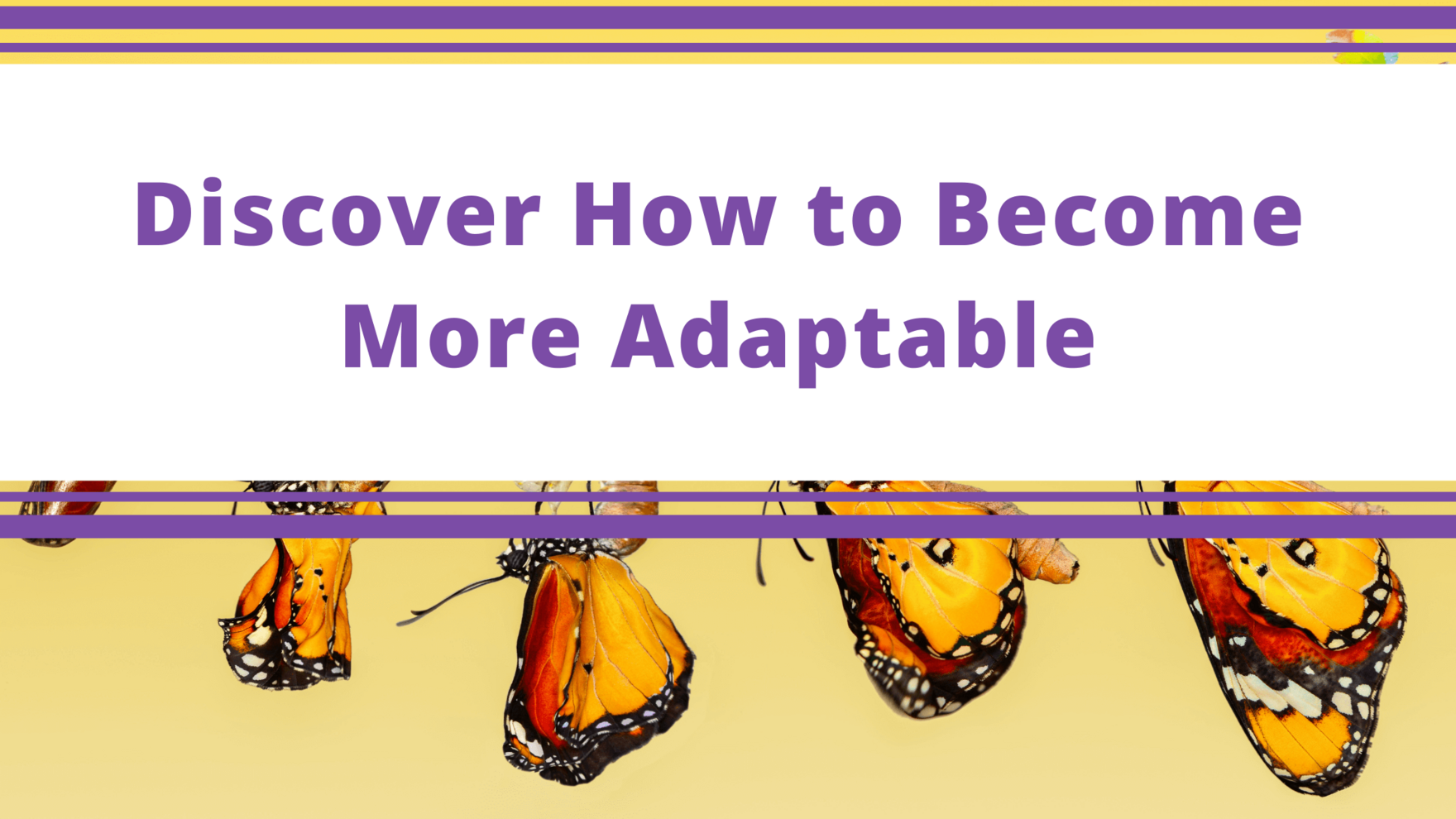 Top Tips Blog - Discover How to Become More Adaptable