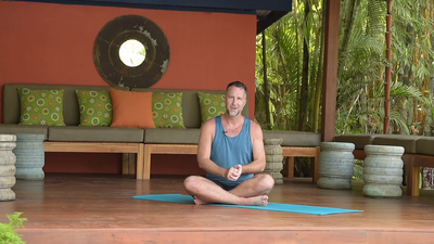 Introduction to becoming pain free wth Yogi Aaron