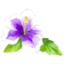 Backdrop Purple Flower