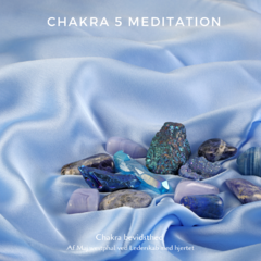 Kopi af Chakra 1 meditation-4