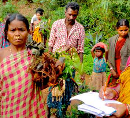 Empowering & Building Capacity in Tribal Communities in Odisha, India_