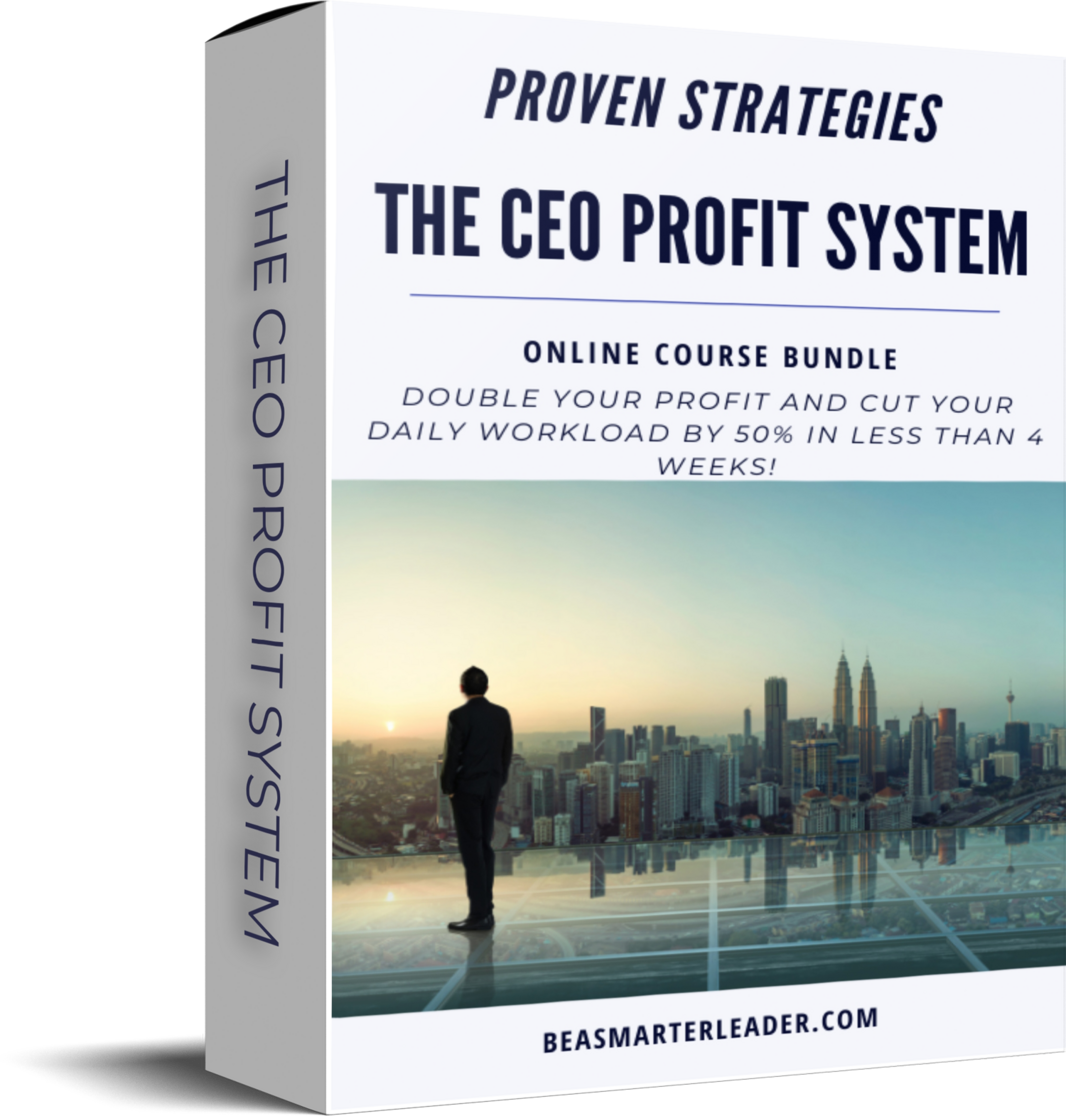 The CEO Profit System Box