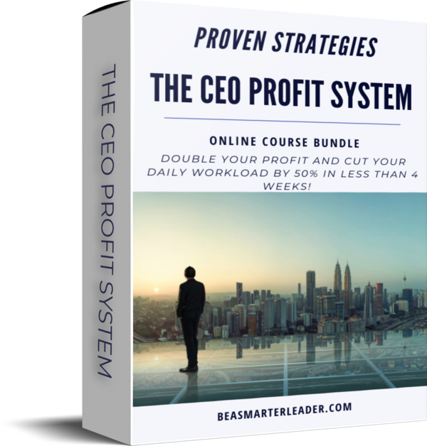 The CEO Profit System Box